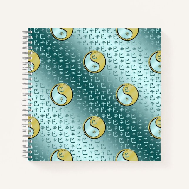 Cuaderno Serpiente de Metal (Anverso)