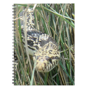 Cuaderno Serpiente toro R4
