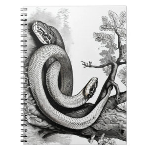 Cuaderno Serpientes