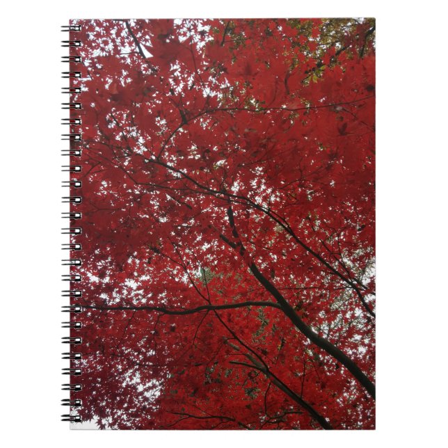 Cuaderno Sesión de Caída del Árbol Hojas de Otoño Rojo Marr (Frente)