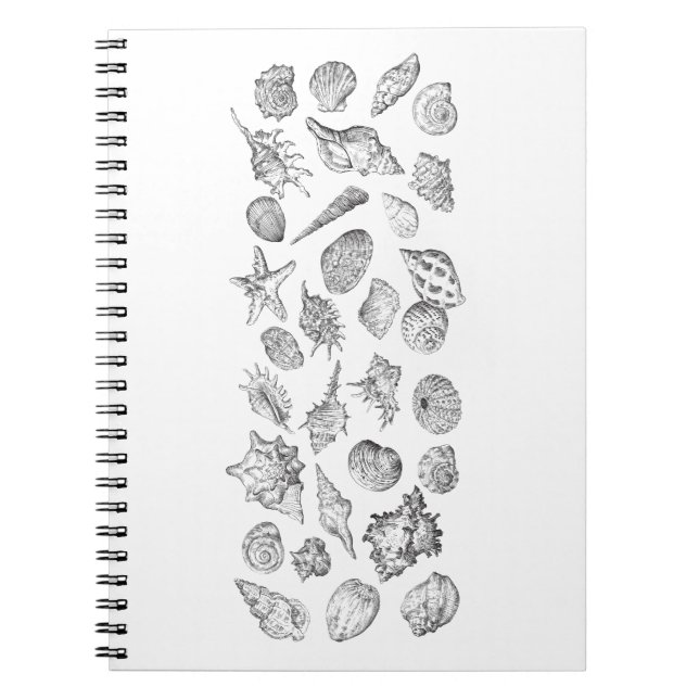 Cuaderno Set de toallas de baño de conchas (Frente)