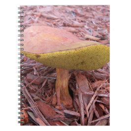Cuaderno seta boleto gillada