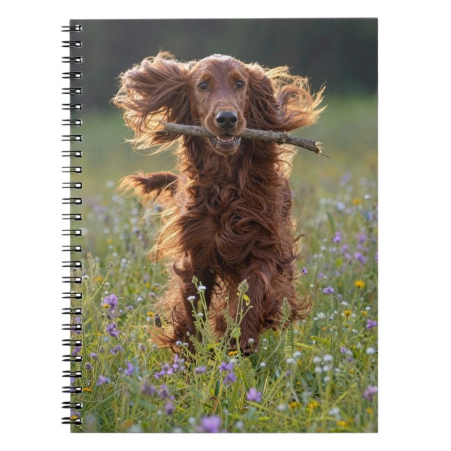 Cuaderno Setter Irlandés Corriendo con un Palo (Frente)