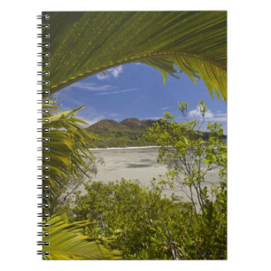 Cuaderno Seychelles, Isla Curieuse, Bahía Laraie