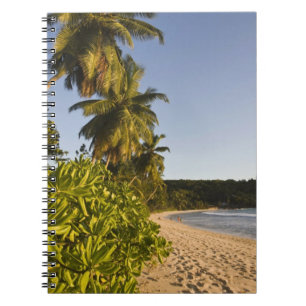 Cuaderno Seychelles, isla de Mahe, playa de Anse Takamaka,