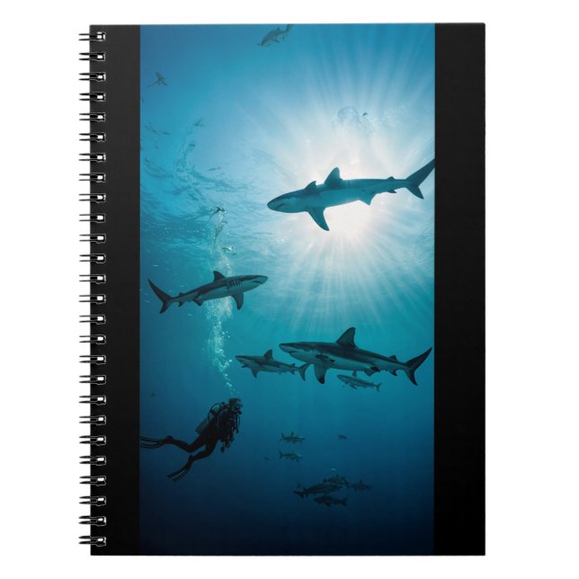 Cuaderno Sharks and Diver (Frente)