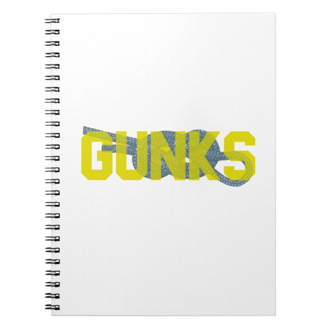 Cuaderno Shawagunks Climbing (Frente)