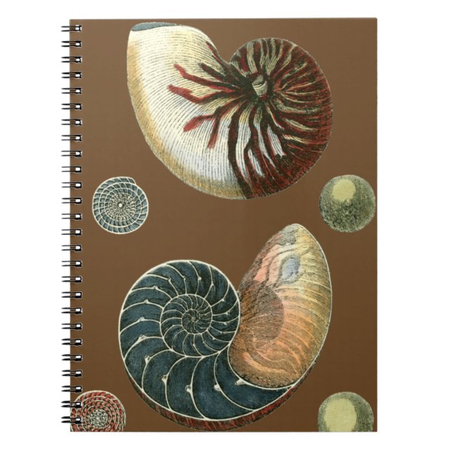 Cuaderno Shell de cacao (Frente)