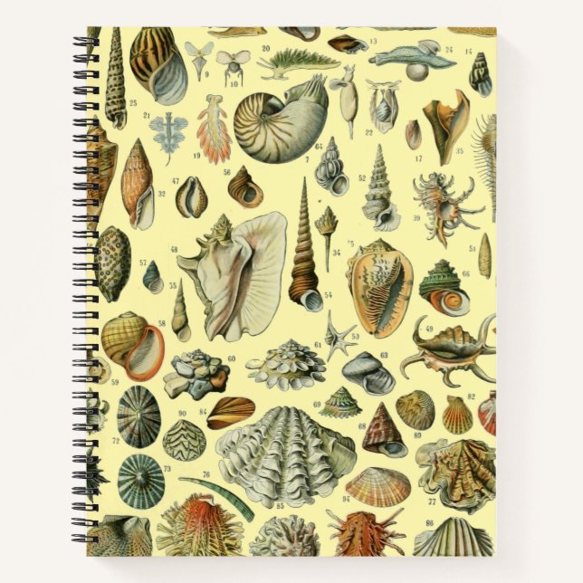 Cuaderno Shell de conchas marinas Mollusk Clam Elegante Art (Anverso)