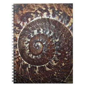 Cuaderno Shell de Snack