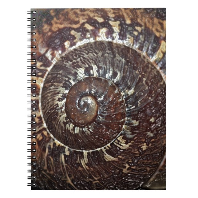 Cuaderno Shell de Snack (Frente)