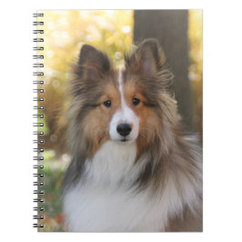 Cuaderno Sheltie Notebook