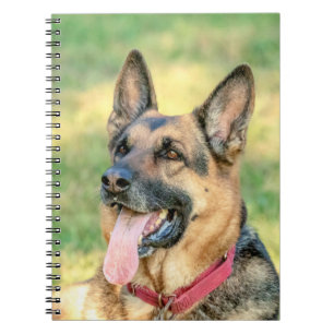 Cuaderno Shepard alemán