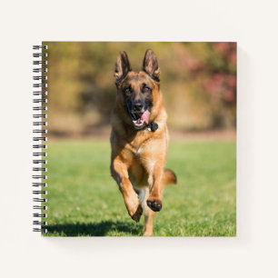 Cuaderno Shepherd Running alemán