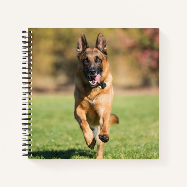 Cuaderno Shepherd Running alemán (Anverso)
