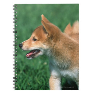 Cuaderno Shiba muy pequeño japonés
