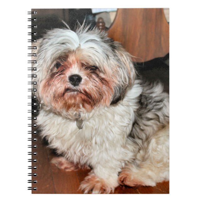 Cuaderno Shih Tzu (Frente)