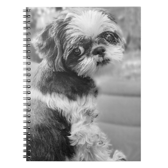 Cuaderno Shih Tzu Chica Notebook (Frente)