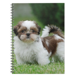 Cuaderno Shih tzu puppy