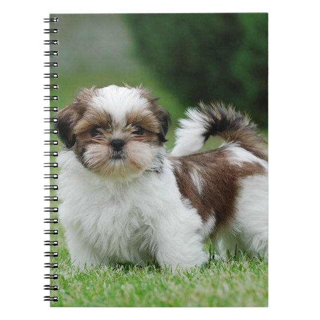 Cuaderno Shih tzu puppy (Frente)