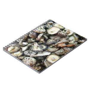 Cuaderno Shiitake Mushrooms