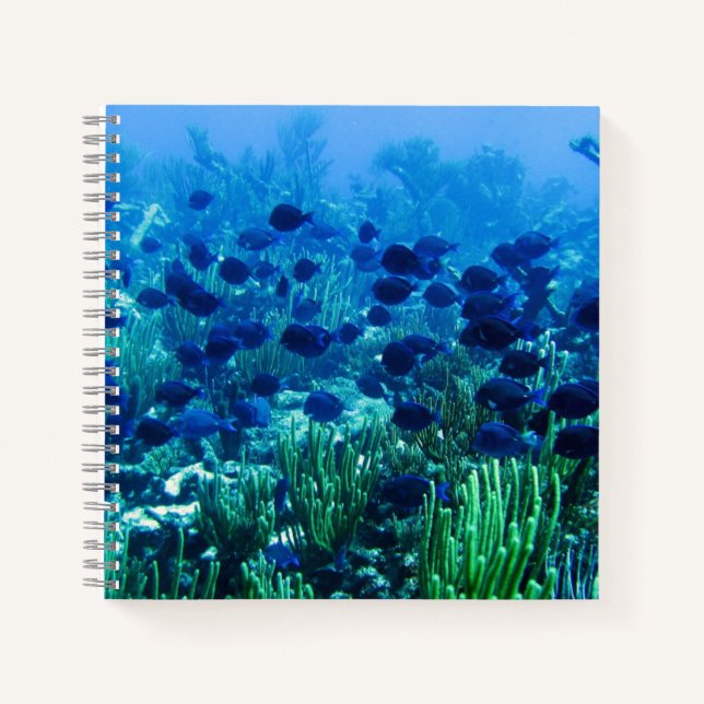 Cuaderno Shoal de Blue Discus Fish Underwater Photo (Anverso)