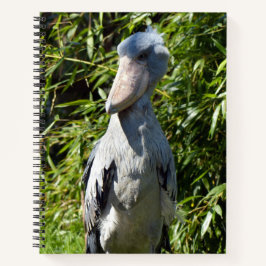Cuaderno Shoebill (Balaeniceps rex)