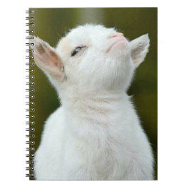 Cuaderno Sí