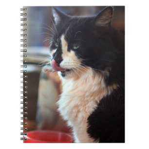 Cuaderno ¡Sí! ¡Gustosos Tratamientos Kitty!