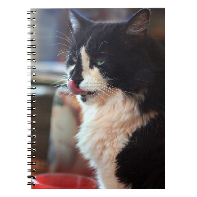 Cuaderno ¡Sí! ¡Gustosos Tratamientos Kitty! (Frente)