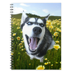 Cuaderno Siberian Husky Dog in Wildflowers Notebook