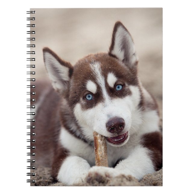 Cuaderno Siberian Husky Puppy at the Beach (Frente)