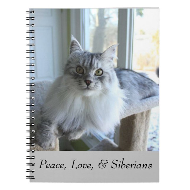 Cuaderno siberiano del gato (Frente)