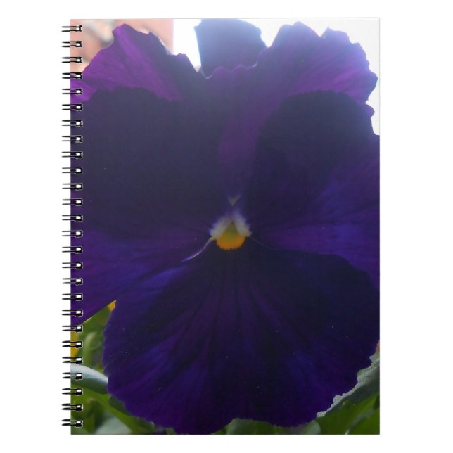 Cuaderno Sibylla (Frente)