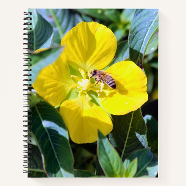Cuaderno Siendo Productivo (Anverso)