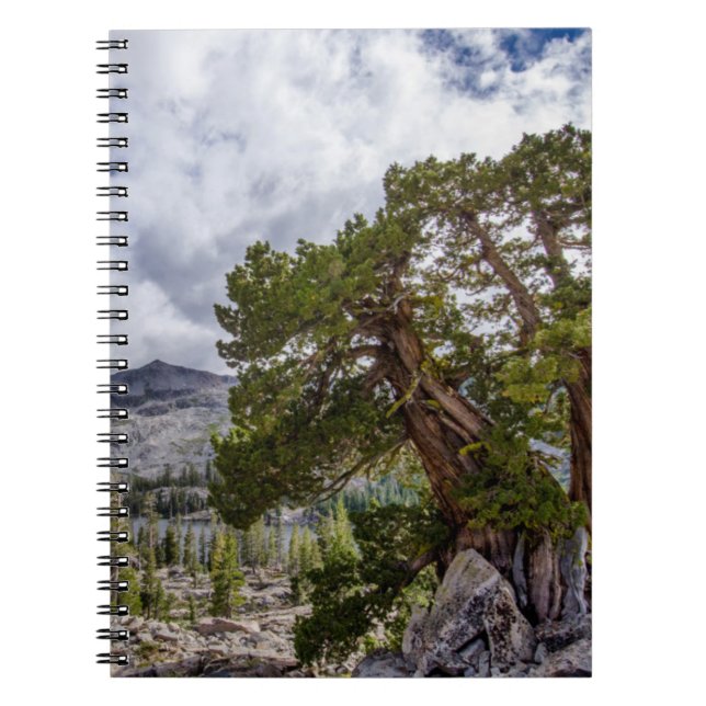 Cuaderno Sierra Juniper y árboles de hoja perenne (Frente)