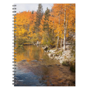 Cuaderno Sierra Oriental, Bishop Creek, California Outlet