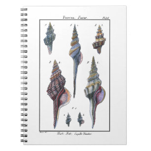 Cuaderno Siete Cascos Coloridos