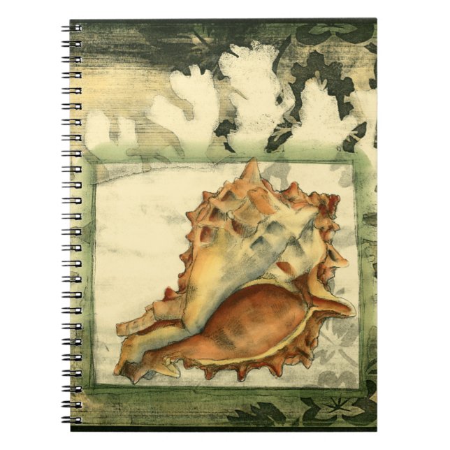 Cuaderno Silhouette Conch Shell (Frente)