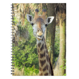 Cuaderno Silly Giraffe - 6,5 x 8,75 bloc de notas
