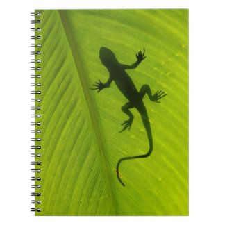 Cuaderno Silueta del Gecko