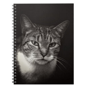 CUADERNO SILVER TABBY CAT