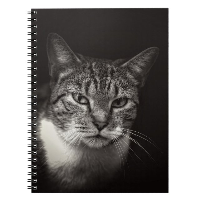 CUADERNO SILVER TABBY CAT (Frente)
