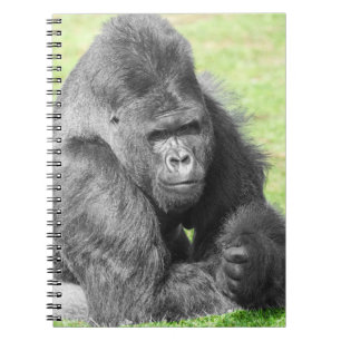 Cuaderno Silverback Toma el Protagonismo