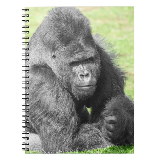 Cuaderno Silverback Toma el Protagonismo (Frente)