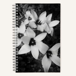 Cuaderno Simetría Silenciosa