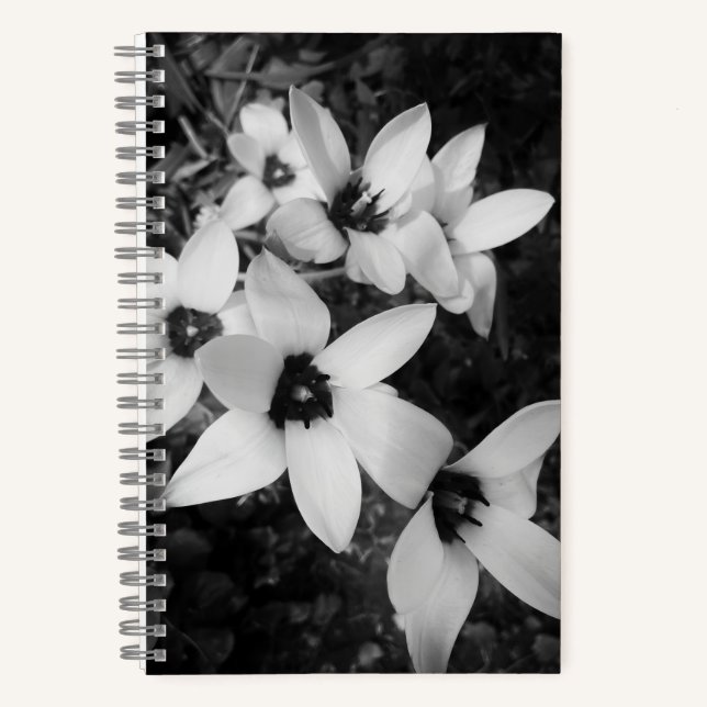 Cuaderno Simetría Silenciosa (Anverso)