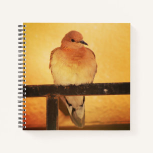 Cuaderno "¡Sin fotos, por favor!"