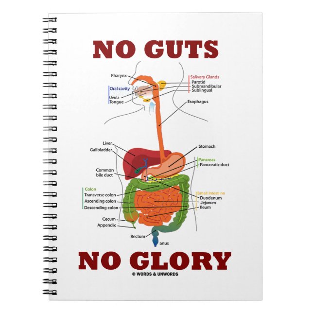Cuaderno Sin Ganas Sin Gloria (Humor Del Sistema Digestivo) (Frente)