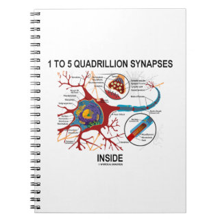 Cuaderno Sinapsis De 1 A 5 Quadrillones Dentro De La Neuron